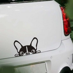 Waterproof - vinyl car sticker with a dog's faceStickers