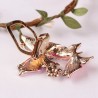 Double butterflies - crystal elegant broochBrooches