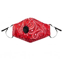 PM2.5 - activated carbon - face / mouth mask with filter - anti-dust - antibacterial - reusableMouth masks