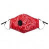 PM2.5 - activated carbon - face / mouth mask with filter - anti-dust - antibacterial - reusableMouth masks