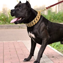 Strong Metal Dog Chain - Stainless Steel - Large DogsCollars & Leads