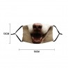 Animal Face Mask - Anti-dust - ReusableMouth masks