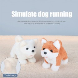 Realistic Teddy Dog - Electric Plush Toy - ChildrenCuddly toys