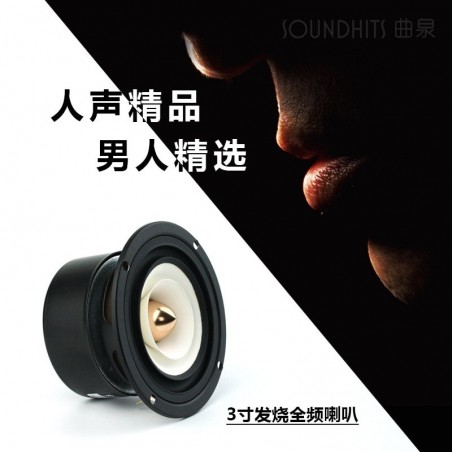 Full Range Frequency Speaker - 2PCS/lotSpeakers