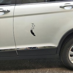 Feather with flying birds - vinyl car stickerStickers