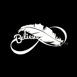 Bird feather - vinyl car stickerStickers