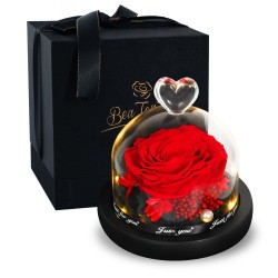 Preserved eternal rose - glass box with light - Valentine's day / wedding giftValentine's day
