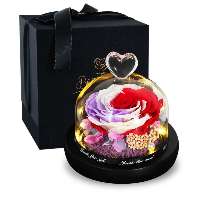 Preserved eternal rose - glass box with light - Valentine's day / wedding giftValentine's day