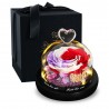 Preserved eternal rose - glass box with light - Valentine's day / wedding giftValentine's day