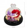 Preserved eternal rose - glass box with light - Valentine's day / wedding giftValentine's day