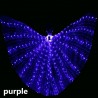 LED butterfly wings - show dance / costume party / masquerade / halloweenParty
