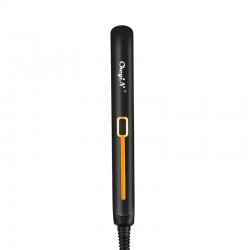 2 in 1 - hair straightener / curler - ceramic plates - with temperature controlHair straighteners