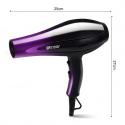 Professional hair dryer - ionic - fast drying - 6 speedsHair