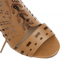 Sexy high heels pumps - ankle length - open toe - lace-up - with a back zipperHigh heels