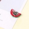 Beaded watermelon - acrylic broochBrooches