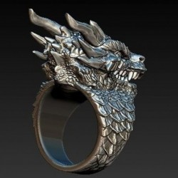 Stainless steel ring with a dragon head - Punk / Gothic styleRings