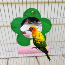 Flower shaped mirror - with bench - birds toyBirds