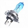 Halogen car lights - H1 / H3 / H4 / H7 / H9 / 880 / 881 / 9005 / 9006 - 2 piecesHalogen lights
