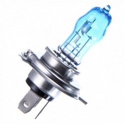 Halogen car lights - H1 / H3 / H4 / H7 / H9 / 880 / 881 / 9005 / 9006 - 2 piecesHalogen lights