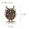 Retro big eyes owl - brooch with crystal decorationsBrooches