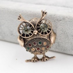 Retro big eyes owl - brooch with crystal decorationsBrooches