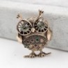 Retro big eyes owl - brooch with crystal decorationsBrooches