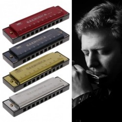 Harmonica - 10 holes - key C - musical instrument - with caseHarmonica