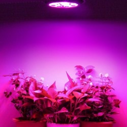 E27 - 36W - LED - plant grow light - hydroponic - full spectrumGrow Lights
