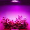 E27 - 36W - LED - plant grow light - hydroponic - full spectrumGrow Lights