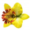 Fashionable hair clip - handmade - flower orchidHair clips