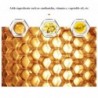 Aloe vera lip balm - color changing lipstick - moisturizing / long lastingLipsticks