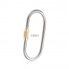 Titanium alloy carabiner - keychain - with lock buckle - camping / hikingKeyrings
