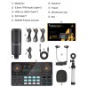 LITE AM200-S1 - all-in-one microphone - mixer kit - audio interface - with condenser microphone / earphonesMicrophones