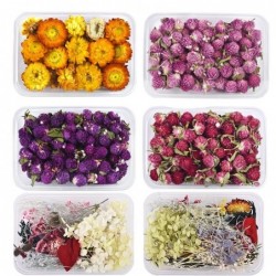 Dried flowers - chrysanthemum - resin craft / jewellery making / crystal epoxy resin fillingArtificial flowers