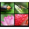 Phone camera lens - 0.45X wide angle / 10X macro - clip-on - kitLenses