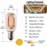 Vintage LED bulb - Edison tubular - T22 - E12 - E14 - 1W - dimmable - 2200K gold - 25 piecesE14