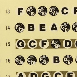 Guitar fretboard / fingerboard stickers - ultra thin - map fretsGuitars