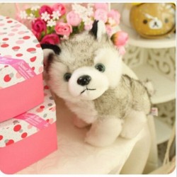 Husky dog - plush toy - 18cmCuddly toys