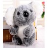 Small Koala bear - plush toy - 12 cm / 16 cmCuddly toys