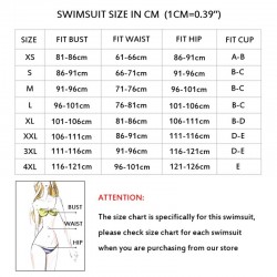 One piece mesh swimsuit - high neck - backlessBeachwear