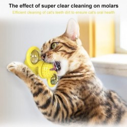 Windmill - cat toy - hair brush / toothbrush - glow ballToys
