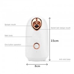 Face steamer - home SPA - skin hydration - spray / mistSkin