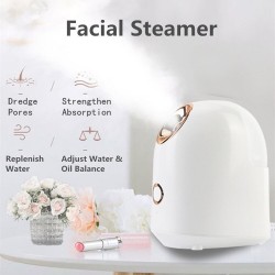 Face steamer - home SPA - skin hydration - spray / mistSkin