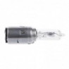 Motorcycle light bulb - white - halogen - Xenon - DC 12V - 35W - BA20DLights