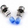 Motorcycle light bulb - BA20D - 50W - 12V - 2 piecesLights