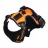 Dog's harness - with LED - adjustable - reflective - waterproofCollars & Leads