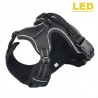 Dog's harness - with LED - adjustable - reflective - waterproofCollars & Leads