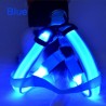 Dog harness - LED - flashing / glowing lights - night safetyCollars & Leads