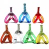 Dog harness - LED - flashing / glowing lights - night safetyCollars & Leads