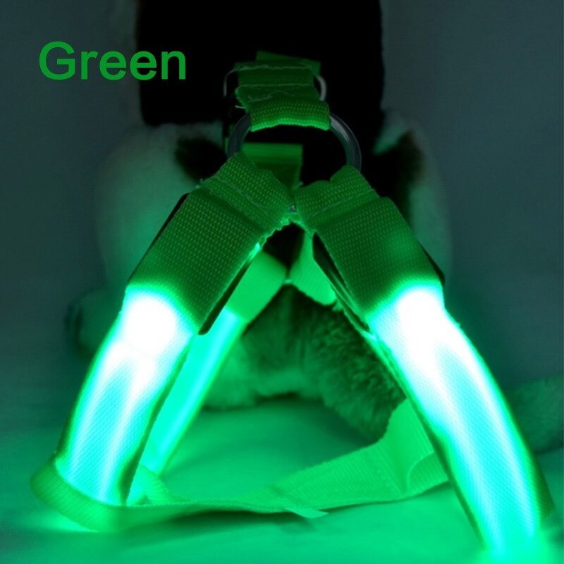 Dog harness - LED - flashing / glowing lights - night safetyCollars & Leads